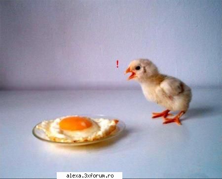 Poze haioase 2 - rhea - Poze