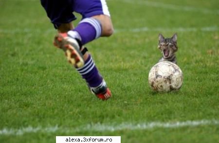 Poze haioase 2 - atentieeee.....nuuuu - Poze