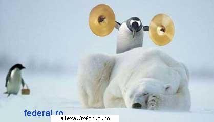 wake-up!! poze haioase 2