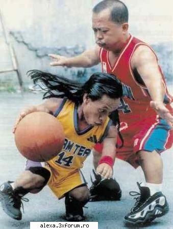 Poze haioase 2 - midget basketball - Poze