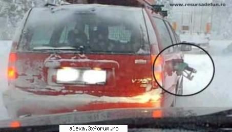 Poze haioase 2 - n-ai uitat nimik? - Poze
