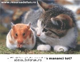 Poze haioase 2 - rhea - Poze