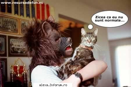 Poze haioase 2 - rhea - Poze