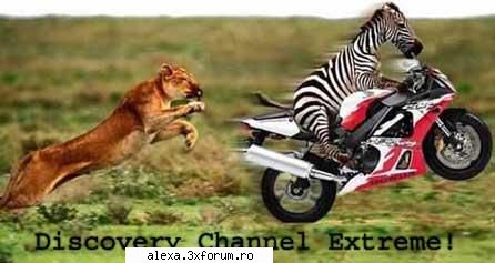Poze haioase 2 - discovery extreme!!! - Poze